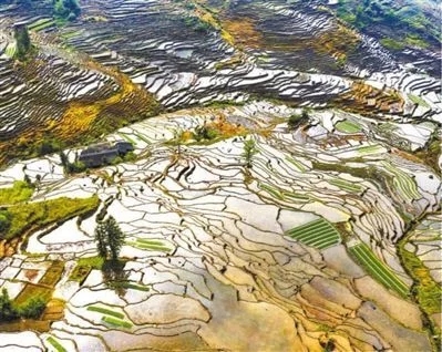 擦亮農(nóng)業(yè)文化遺產(chǎn)“金字招牌”