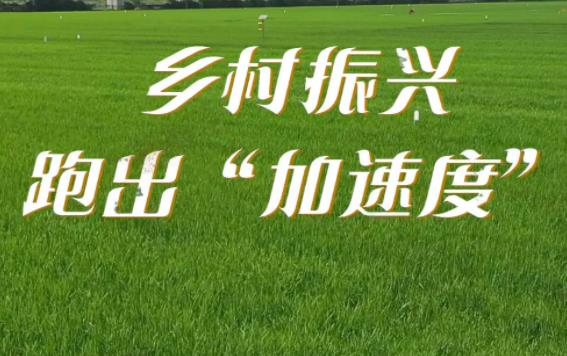 【先鋒引領新征程】劉志剛：爭做鄉村振興主力軍