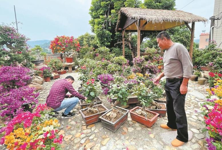 同安：立足資源稟賦 發力鄉村振興