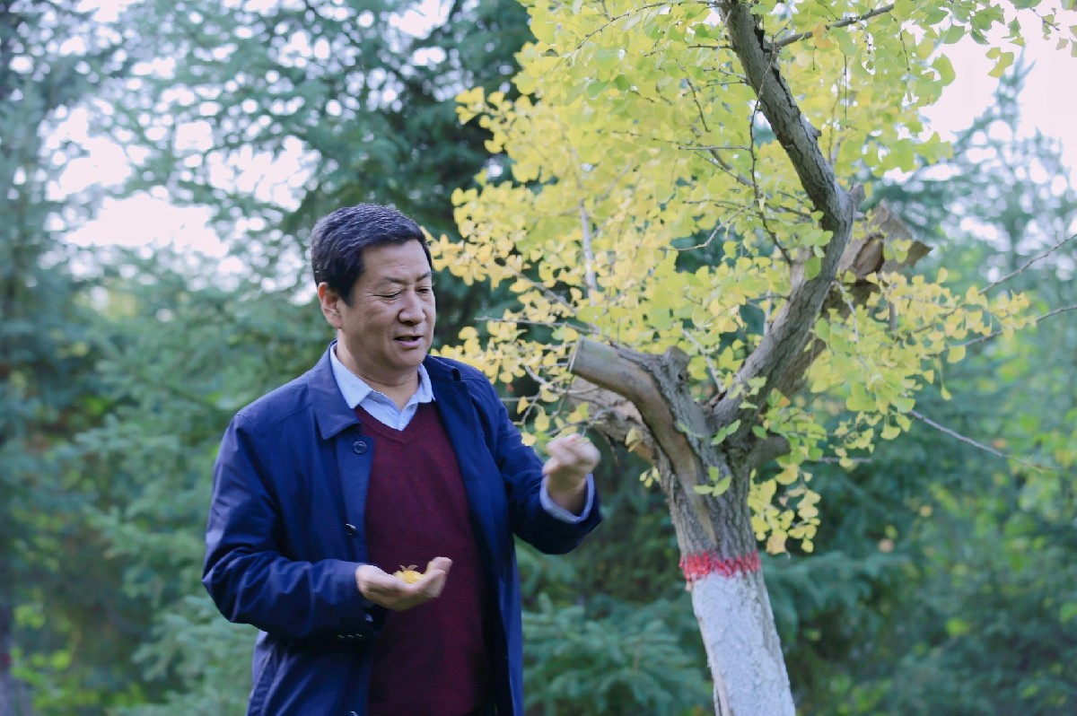 英才舉薦---著名書法家李曉陽