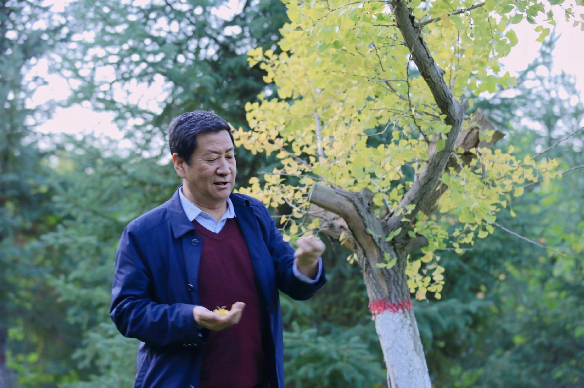 厚植書藝沃土 鑒者觀之生情